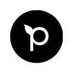 Pepperfield.cz